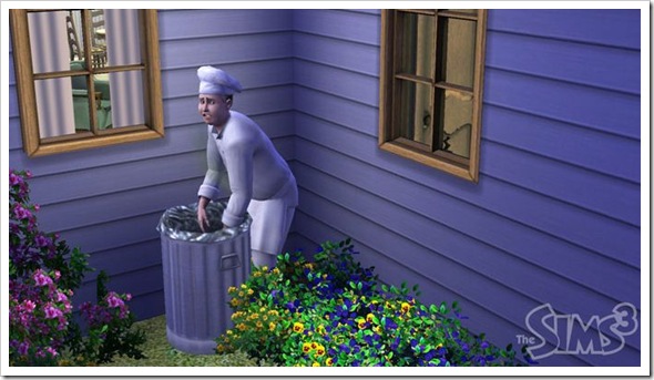 sims3-7