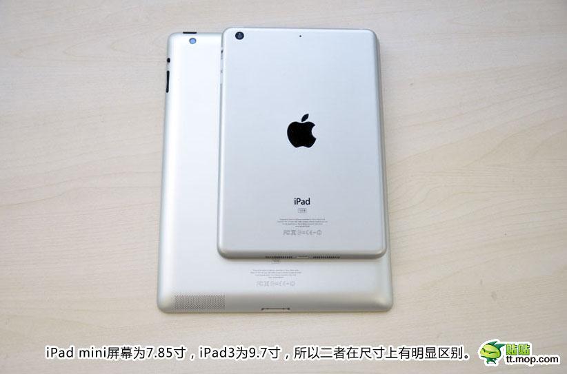 iPad-Mini-Dummy-010