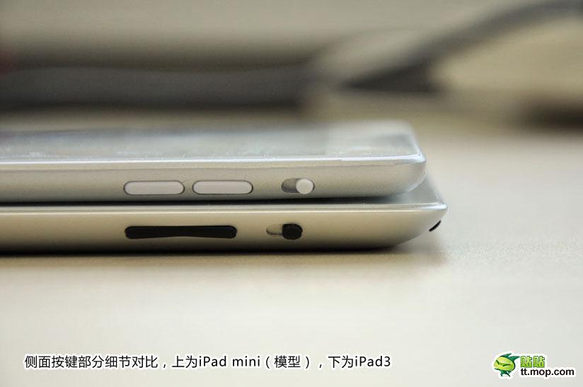 iPad-Mini-Dummy-017