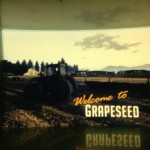 GTA-5-Grapeseed