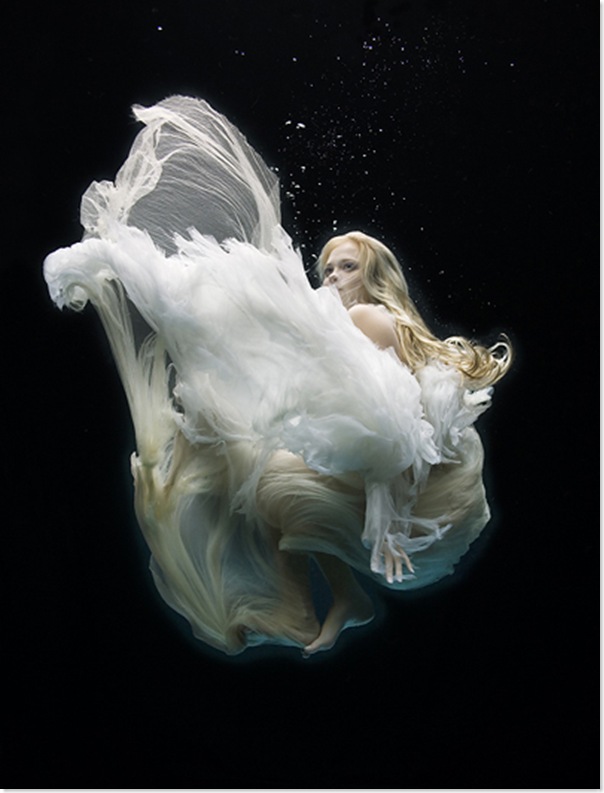Underwater Photo Gallery by Zena Holloway