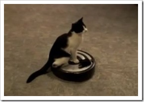 roomba-cat