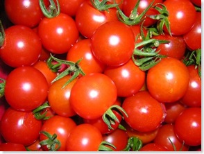 Tomates-1