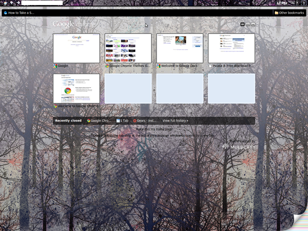 chromeostheme2