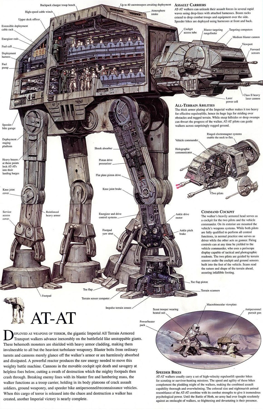 at-at-infographie