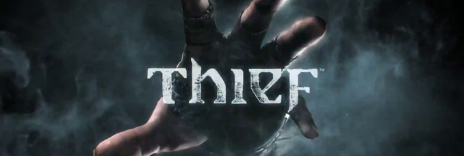 video-thief-4