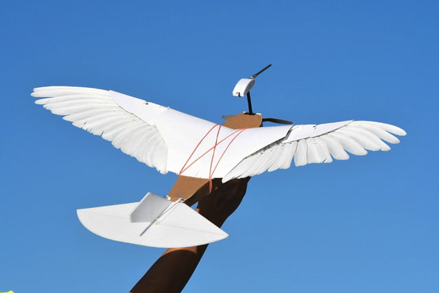 Photo de Pigeon Bot, le drone pigeon qui vole comme un oiseau