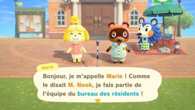 Photo de Comment changer l’heure dans animal crossing New Horizons ?