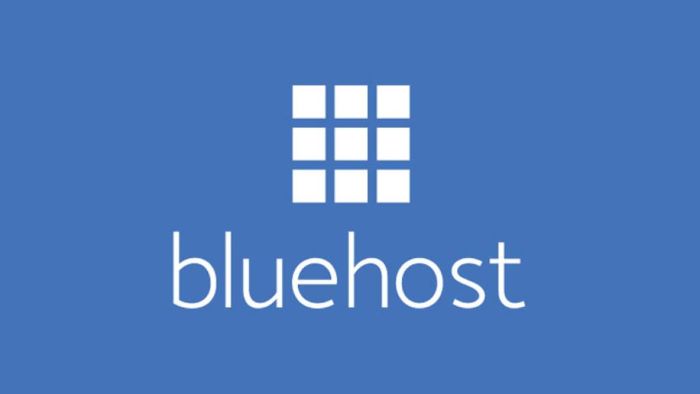 Bluehost hebergement nom de domaine