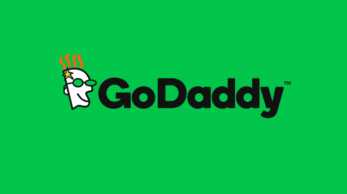 GoDaddy un registrar de nom de domaine