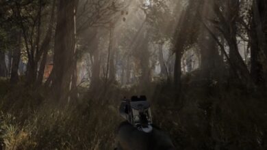 Photo de Un avenir prometteur pour Fallout : les graphismes nouvelle génération redéfinissent l’expérience visuelle